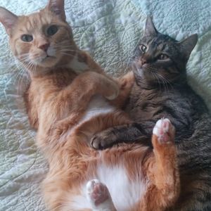 Meet your Posher, Sue